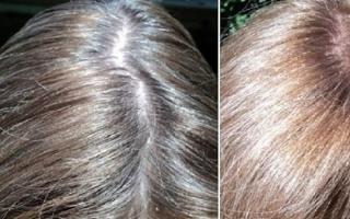 Чем и как проводят окрашивание седых волос?
