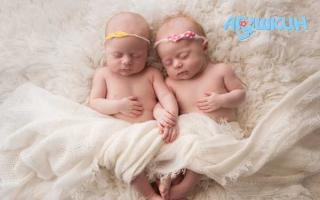 Феномен близнецов и двойняшек: основные отличия, воспитание и занимательные факты
