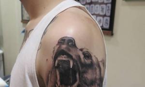 Medvedie tetovanie – význam a dizajn pre dievčatá a mužov